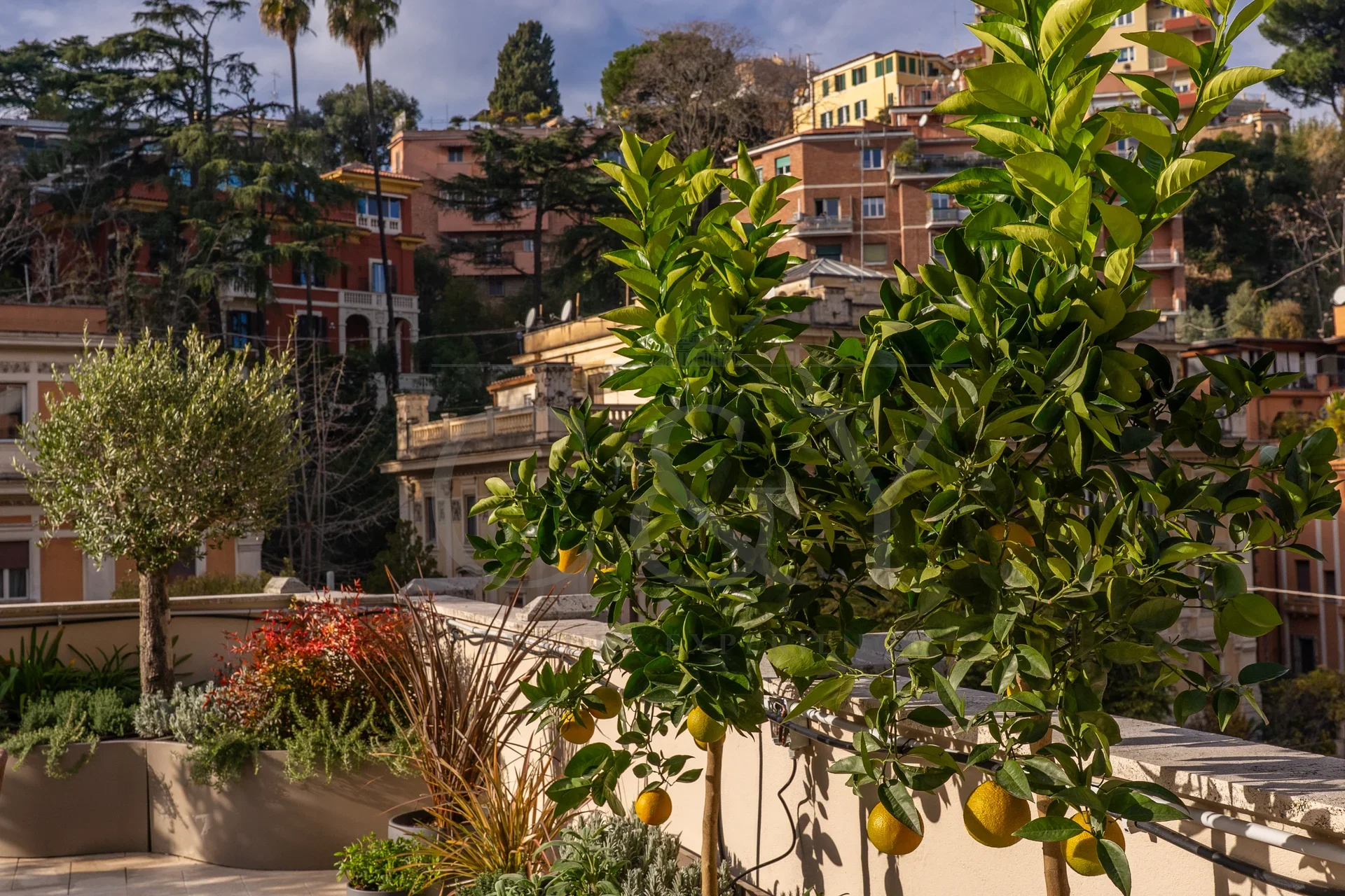 C&Y Roma - Terrazza dell�appartamento Trastevere